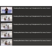 Breaking Mechanics Basic Leg Entanglements by Junny Ocasio