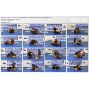 Legally Locked Secrets From The Fanatics Uke Seated Leg Entries by Alex West