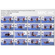 Strategic Guard Passing and Pinning by Chris Paines