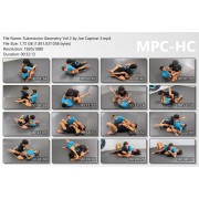 Submission Geometry Locks and Levers Vol 2 by Joseph Capizzi