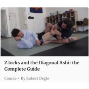 Z Locks and The Diagonal Ashi The Complete Guide by Robert Degle Z Locks and The Diagonal Ashi The Complete Guide by Robert Degle