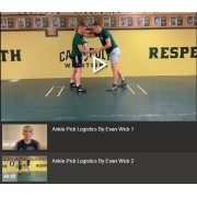 Ankle Pick Logistics by Evan Wick