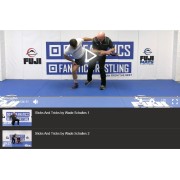Slicks and Tricks: Wrestling Insights and Innovations by Wade Schalles