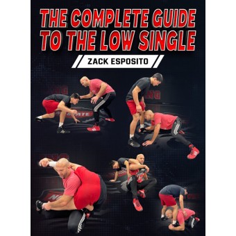 The Complete Guide To The Low Single by Zack Esposito