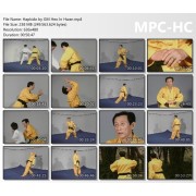 Hapkido by GM Heo In Hwan