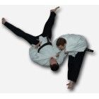 Hapkido Techniques by Chaichalerm Naksavasdi