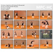 Hapkido WHF by GM Kwang Sik Myung