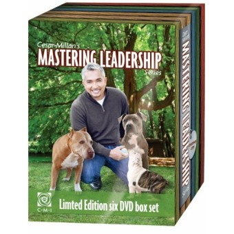 Mastering Leadership Series 6 DVD by Cesar Millan