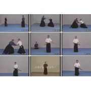 Advanced Iaido and Special Training-Sueyoshi Akeshi