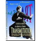 Transmutation Volume 1 by Tony Annesi and Bruce Juchnik