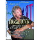 Transmutation Volume 3 by Tony Annesi and Bruce Juchnik