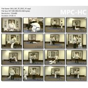 Danzan Ryu Jujitsu Oku No Te by Prof. Don Cross