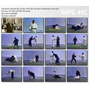 DanZan Ryu JuJitsu Vol.4 Oku No Kata Combination Arts by Prof. Henry S. Okazaki