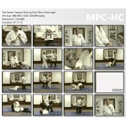 Danzan Ryu Jujitsu Yawara Stick by Prof. Don Cross