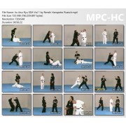 Jiu Jitsu Ryu SDA Vol 1 by Renshi Hanspeter Ruesch Jiu Jitsu Ryu SDA Vol 1 by Renshi Hanspeter Ruesch
