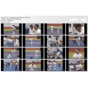 Jujitsu America Hawaiian Convention Vol 1 by Wally Jay, Willy Cahill, Jon Funk