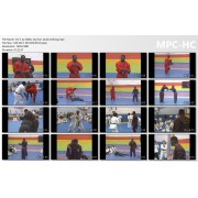 Jujitsu America Hawaiian Convention Vol 3 by Wally Jay, Don Jacob