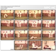 Nihon Ju Jutsu by Norm Belsterling