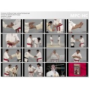 Small Circle Jujitsu Volume 5 by Wally Jay