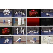 Judo Part 1-Hayward Nishioka