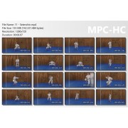 17 Goju Ryu Karate Kata by Andreas Ginger