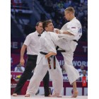 3rd World Open Weight Kyokushin Karate Tournament 2005