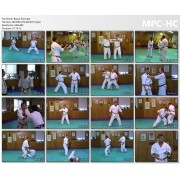 Bassai Sho by Tony Annesi Bassai Sho by Tony Annesi