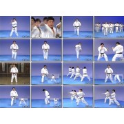 Kyokushin Karate Complete Video Series 3 Vol-Shokei Matsui