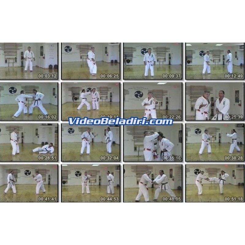 Mastering Shorin Ryu Karate 10 DVD Set-George Alexander