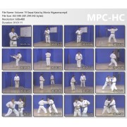 Mastering Traditional Okinawan Goju Ryu Karate Volume 19 by Morio Higaonna