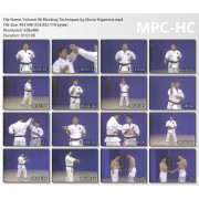 Mastering Traditional Okinawan Goju Ryu Karate Volume 6 by Morio Higaonna