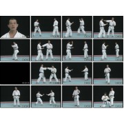 Seiji Nishimura-Best Karate-The Kick Technique