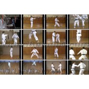 Shotokan Karate Complete Guide Step 1-Hirokazu Kanazawa