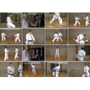 Shotokan Karate Complete Guide Step 3-Hirokazu Kanazawa
