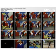 Winning at Tournament Point Fighting by Nicki Carlson Lee