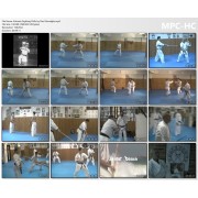Kobudo Fighting Drills by Paul Vermiglio Kobudo Fighting Drills by Paul Vermiglio