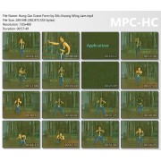 Hung Gar Crane by Sifu Kwong Wing Lam
