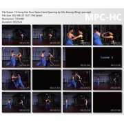 Hung Gar Four Gates Hand Sparring by Sifu Kwong Wing Lam Hung Gar Four Gates Hand Sparring by Sifu Kwong Wing Lam