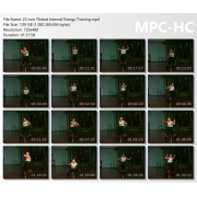 Hung Gar Internal Energy Training Iron Thread by Sifu Kwong Wing Lam
