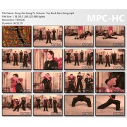 Hung Gar Kung Fu Volume 1 by Buck Sam Kong Hung Gar Kung Fu Volume 1 by Buck Sam Kong