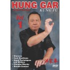 Hung Gar Kung Fu Volume 1 by Buck Sam Kong Hung Gar Kung Fu Volume 1 by Buck Sam Kong