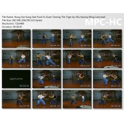 Hung Gar Kung Gee Fook Fu Kuen Taming the Tiger by Sifu Kwong Wing Lam Hung Gar Kung Gee Fook Fu Kuen Taming the Tiger by Sifu Kwong Wing Lam