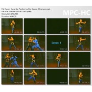Hung Gar Panther by Sifu Kwong Wing Lam Hung Gar Panther by Sifu Kwong Wing Lam