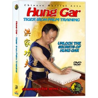 Hung Gar Tiger Iron Palm Training by Sifu Kwong Wing Lam Hung Gar Tiger Iron Palm Training by Sifu Kwong Wing Lam