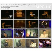 Hung Gar Tiger Iron Palm Training by Sifu Kwong Wing Lam Hung Gar Tiger Iron Palm Training by Sifu Kwong Wing Lam