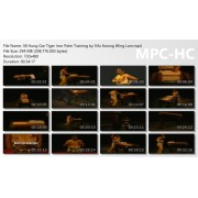 Hung Gar Tiger Iron Palm Training by Sifu Kwong Wing Lam Hung Gar Tiger Iron Palm Training by Sifu Kwong Wing Lam