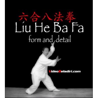 Liu He Ba Fa Forms and Detail-Liu Xiao Ling