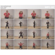 Mastering Kung Fu San Soo Vol 4 by Ron Scanlon