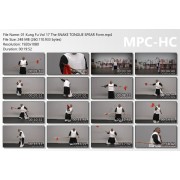 Ng Ga Kuen Kung Fu Vol 17 The Snake Tongue Spear Form by Angel Alberto Velazquez