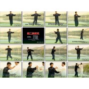 Quintessence of Da Cheng Quan Series-Footwork and Push Hands-Huang Jingwen